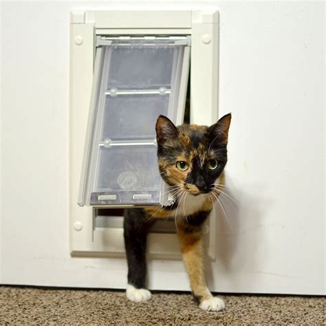 what is the best cat door that opens with two scans